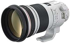 Canon EF 300mm 1:2,8 L IS II USM Objektiv (52 mm Filtergewinde, bildstabilisiert) verkaufen