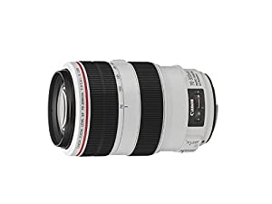 Canon EF 70-300mm 1:4,0-5,6 L IS USM schwarz/silber verkaufen