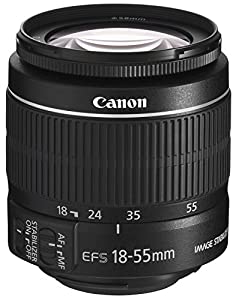 Canon 18-55mm 1:3,5-5,6 IS II [für Canon EF-S] schwarz verkaufen